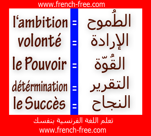  الدرس 1 : تعلم اللغة الفرنسية بالكلمات وجمل مترجمة بالعربية و الفرنسية  2+module+5+mots