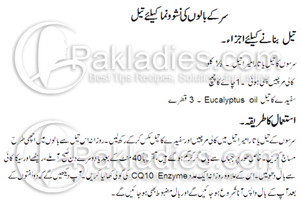 Hair Oil For Hair Fall Control Urdu Tips Entertainment Plus