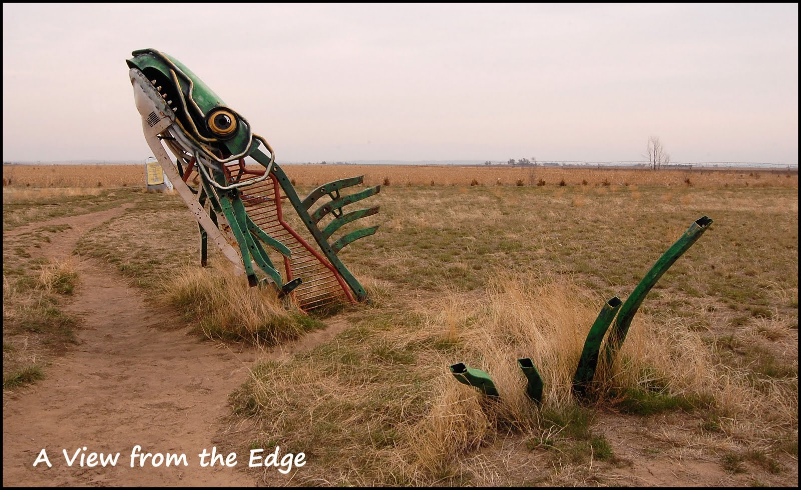 A View From The Edge Cavorting At Carhenge