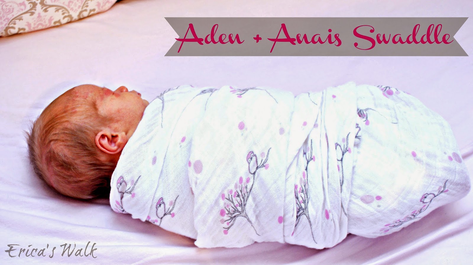 The Best Swaddle Blankets Aden + Anais Erica's Walk