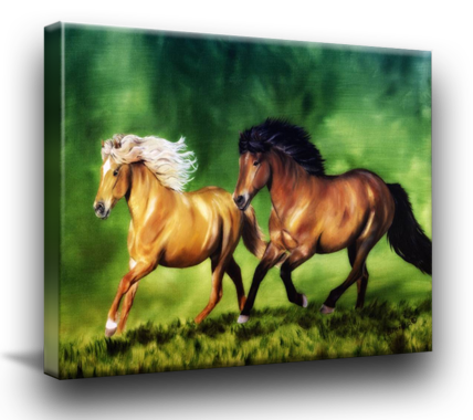Icelandic Horse Art for Sale