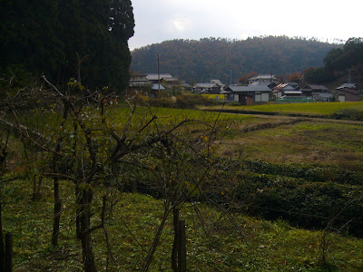 滋賀県・奥びわ湖 鶏足寺の紅葉