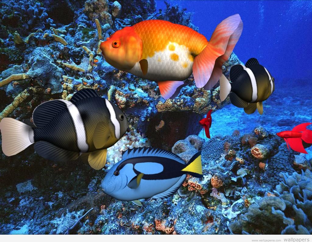 3d Fish Aquarium Screensaver  Car Interior Design