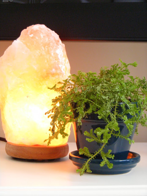 Moon to Moon: Current obsession: Himalayan Salt Lamps..