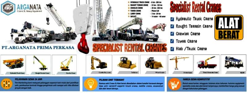 Rental Crane