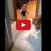 Viral Video : Dog teaching baby to jump