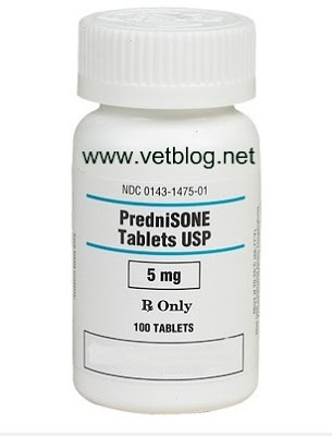 Best Way To Buy Prednisone