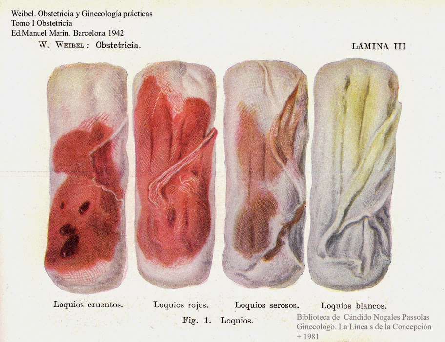 Искусственная Течка От Вибратора Плоть