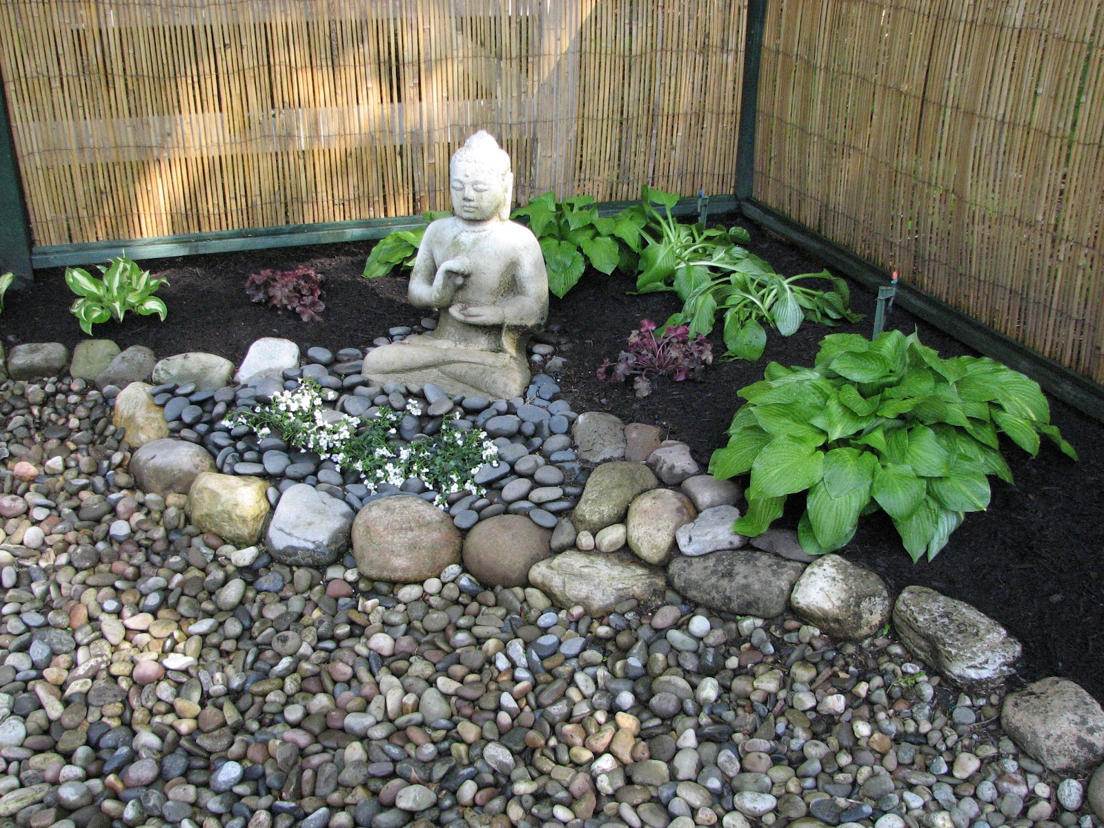 When Do You Sell Plants In Zen Garden at Patsy Dillon blog