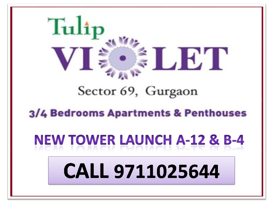 Tulip Violet Homeseek Realtors at Sector 69, Gurgaon Tulip Violet