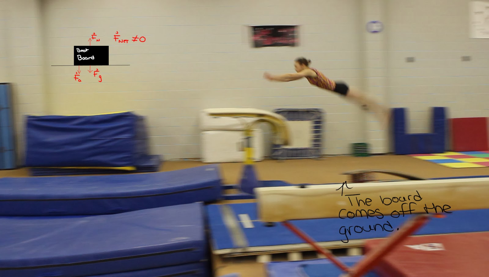 The Physics of the Gymnastics Vault Newton's Laws of Motion Explained