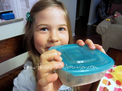 Thanks, Mail Carrier: Never Lose the Lid with Mr. Lid {Review}