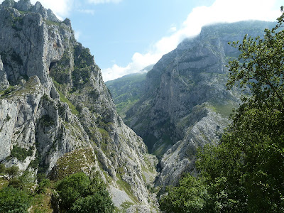 Picos de Europa