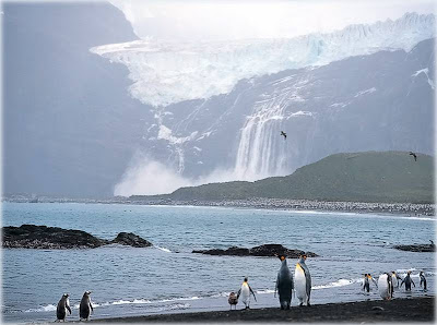 amazing antarctica