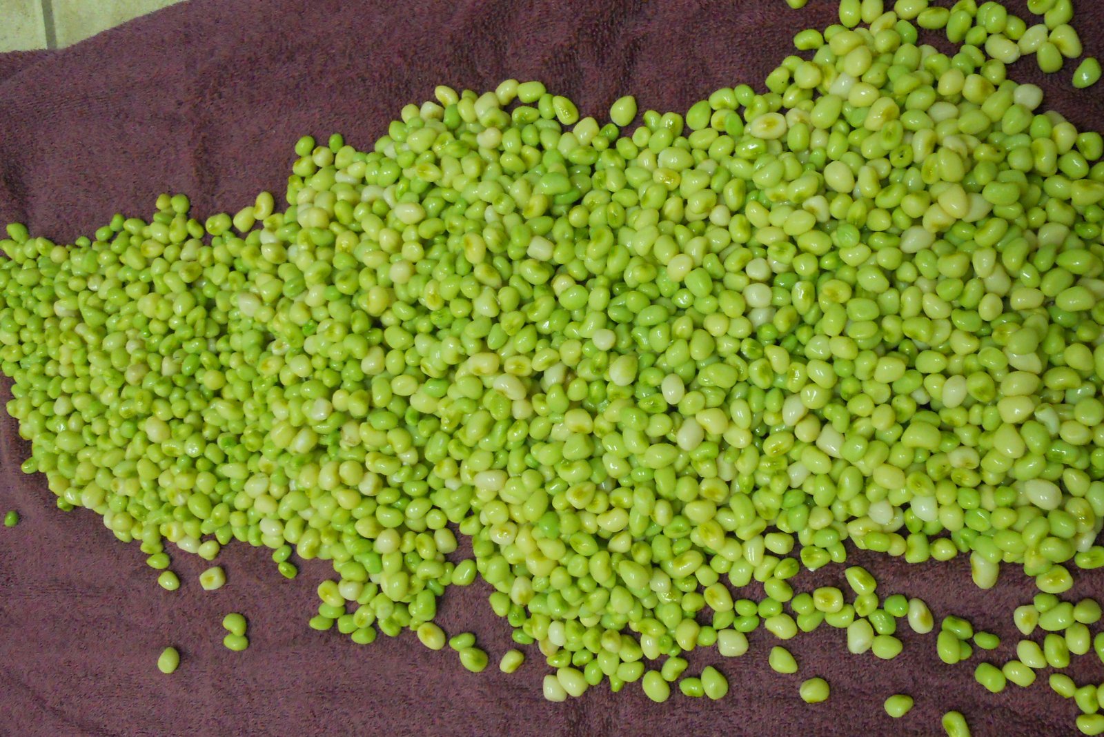 Home Garden Zipper Cream Pea Harvest
