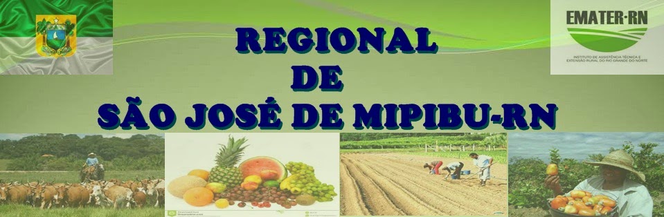 Regional de São José de Mipibu-RN