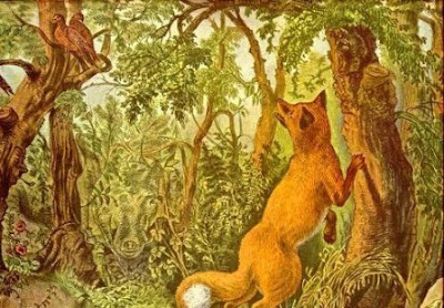 Hidden Animal wolf optical illusion