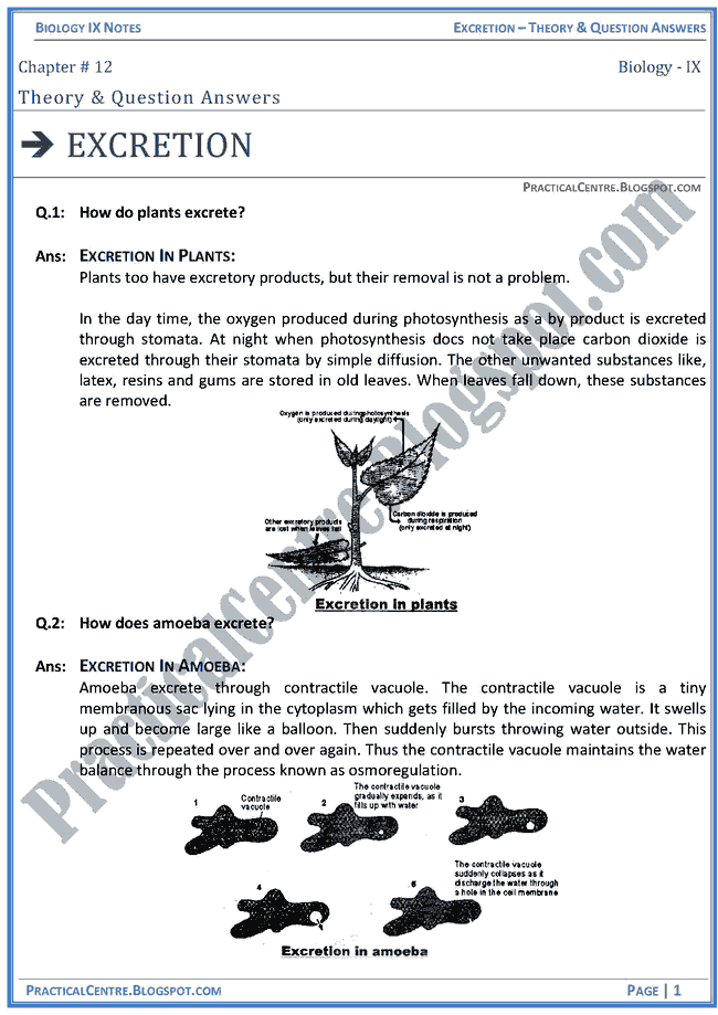 excretion-theory-and-question-answers-biology-ix