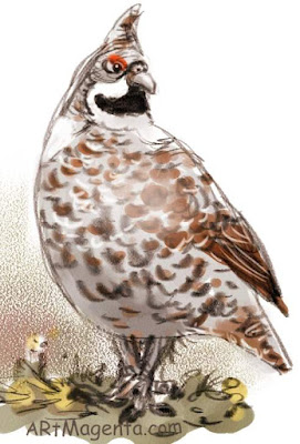Hazel Grouse is a bird drawing by artist and illustrator Artmagenta