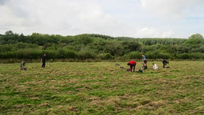 http://www.devonwildlifetrust.org