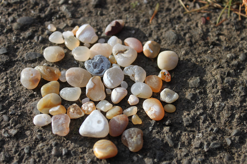 fivetenfifteen agate beach