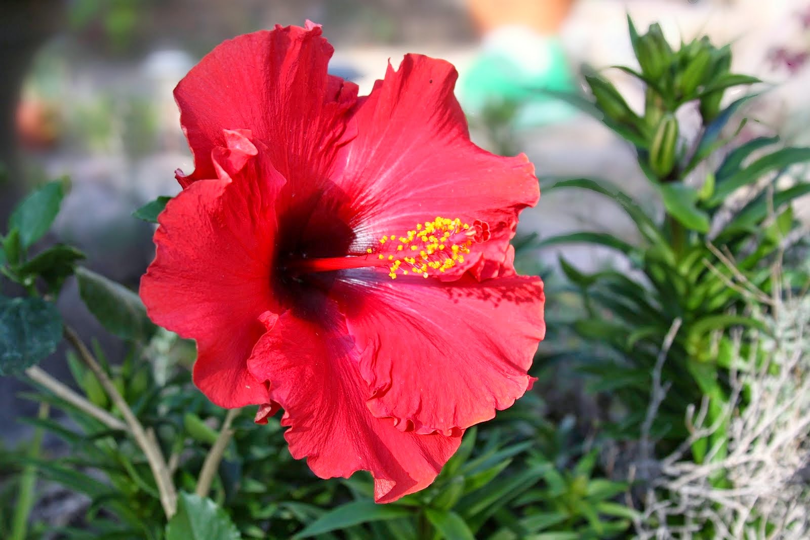 P3 Math and Science Trail 2014