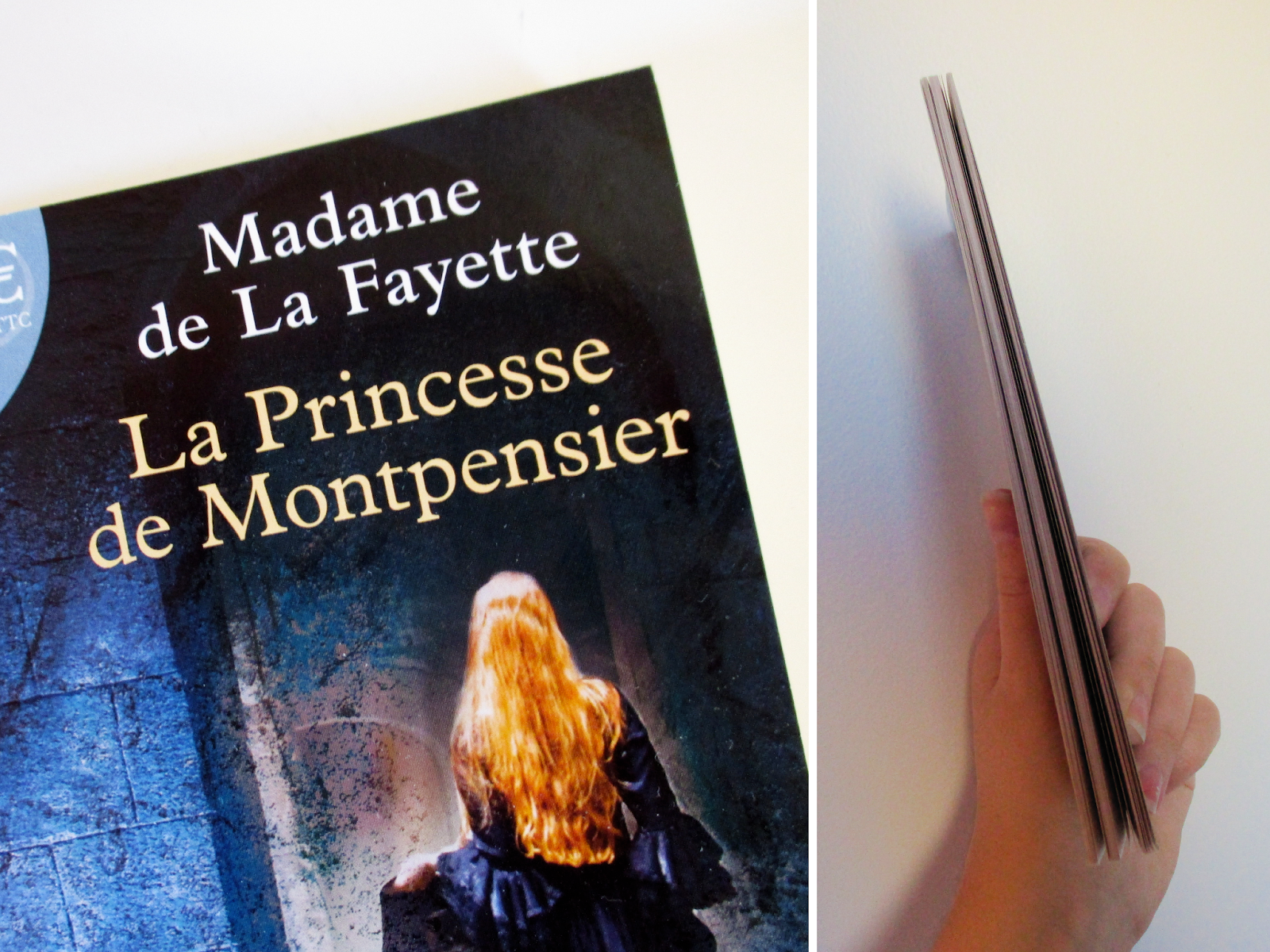 la princesse de clèves scène de rencontre texte