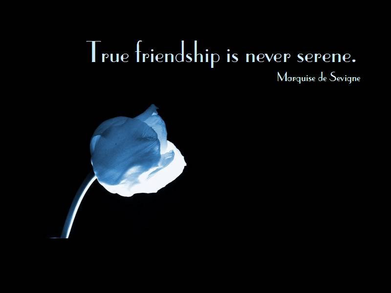 Best Quotes Ever: Best Friendship Quotes