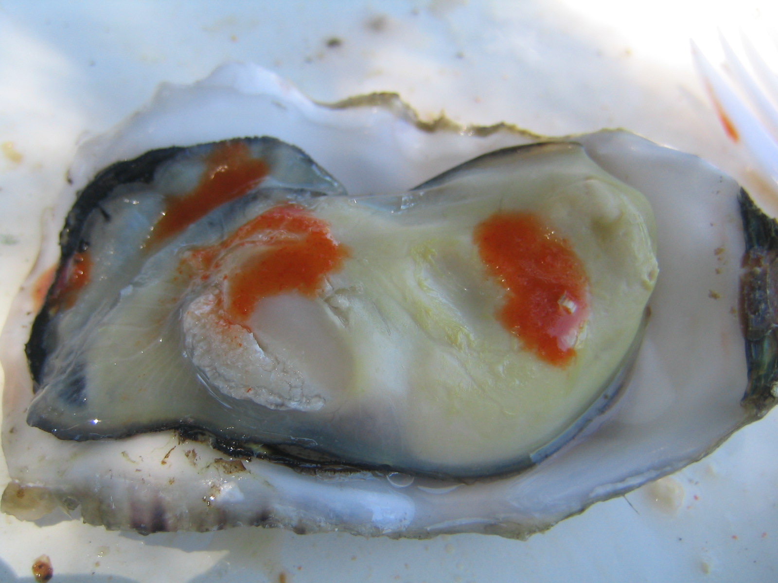 Culinary Musing of a Silicon Valley Mom Enjoying Fresh Oysters at
