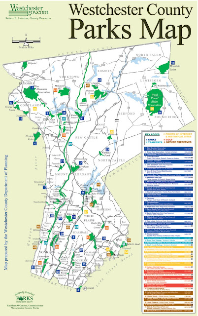 Antoinette DeRose Westchester NY Realtor® Westchester County NY Real