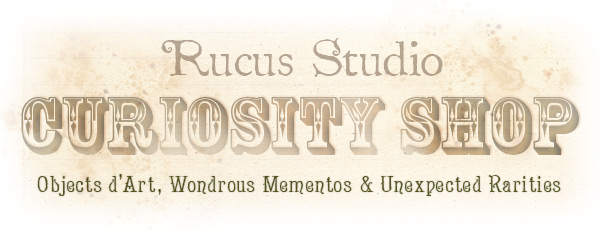 Rucus Studio Curiosity Shop