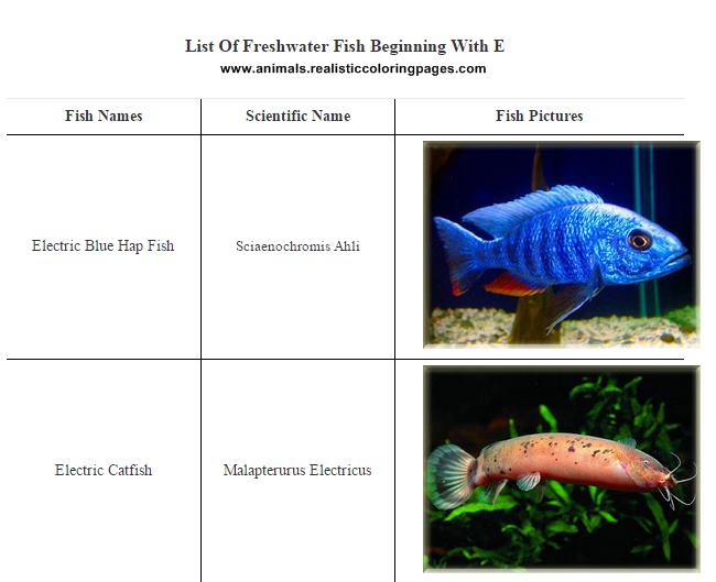 freshwater fish 6 letters are there any fresh water fish with only 4 letters in its name 2017 freshwater fish 6 letters are there any fresh water fish with only 4 letters in its name 2017