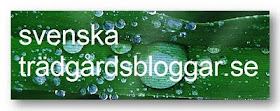 Svenska trädgårdsbloggar