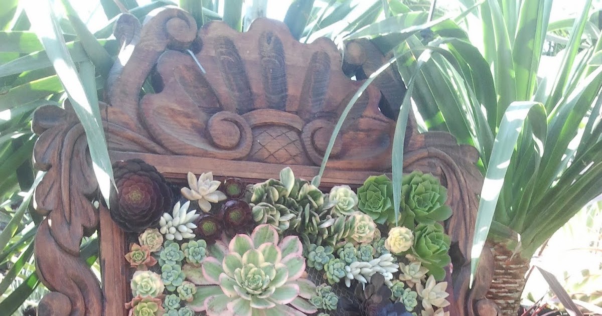 Xeriscape Ninjas V&N Nursery in Venice, CA review