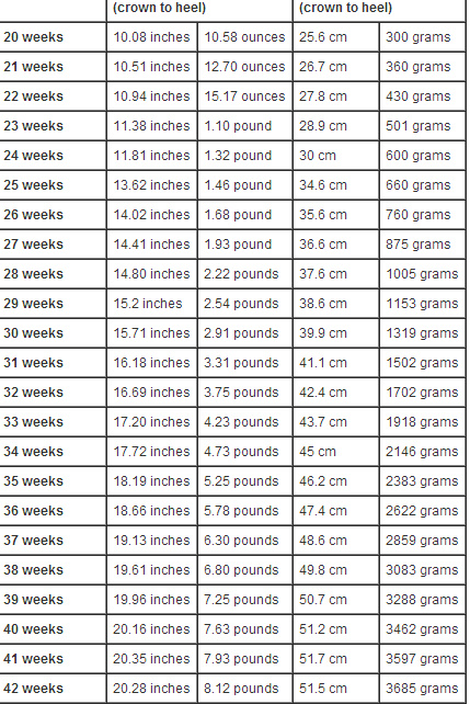 Normal Fetal Weight Chart