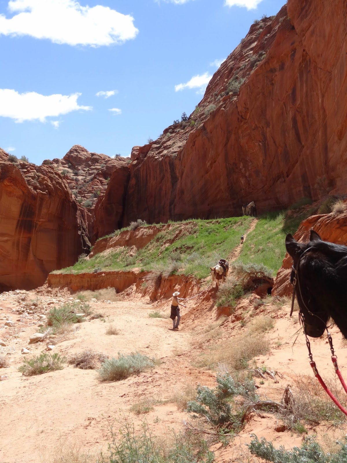 Dream Packer Trail Adventures Buckskin Gulch, Utah