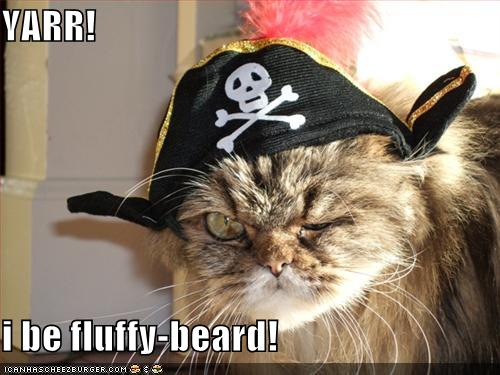 pirate-cat.jpg