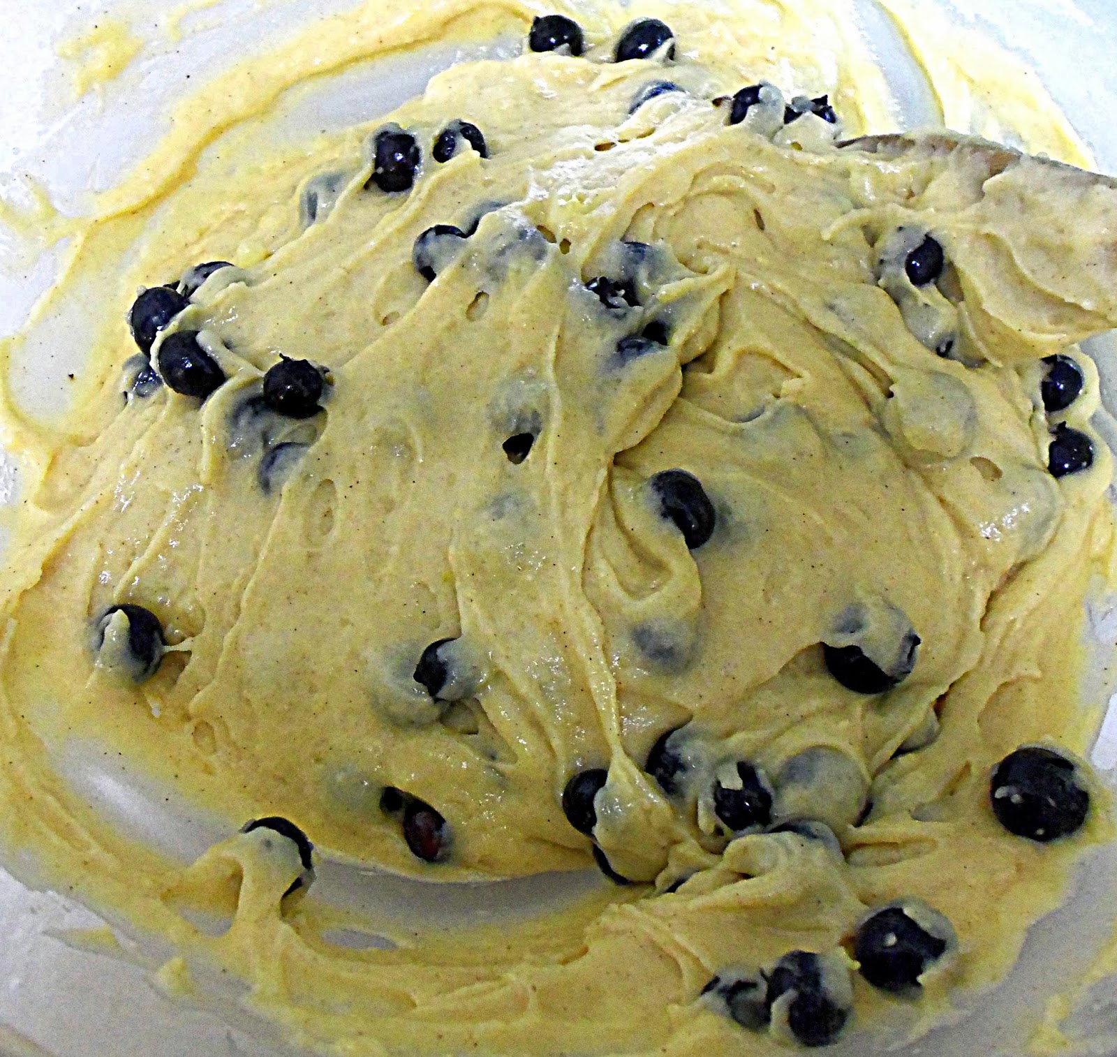 Stephlin's Mountain Blueberry Banana Cake Donuts