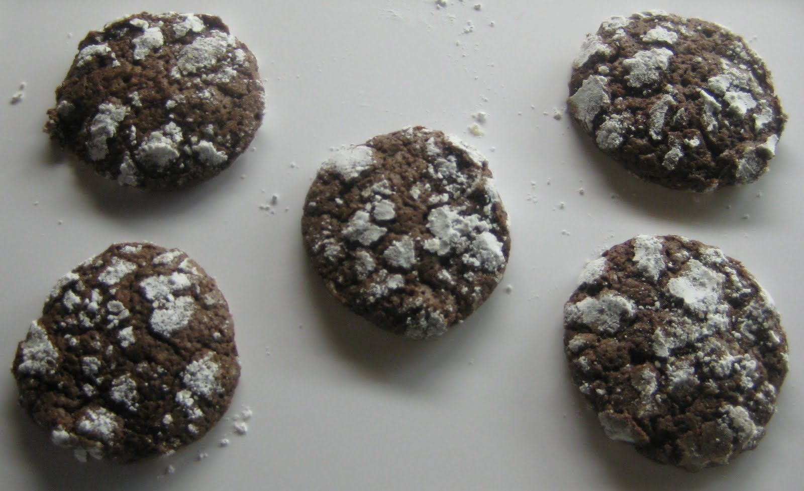 Garden Shed Ideas Martha Stewart 8x10x12x14x16x18x20x22x24 Josep