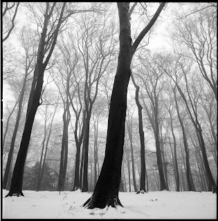 Winterbilder aus Wuppertal