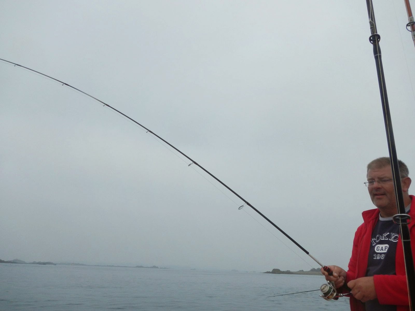 canne à pêche shimano, moulinet, haut module, HM