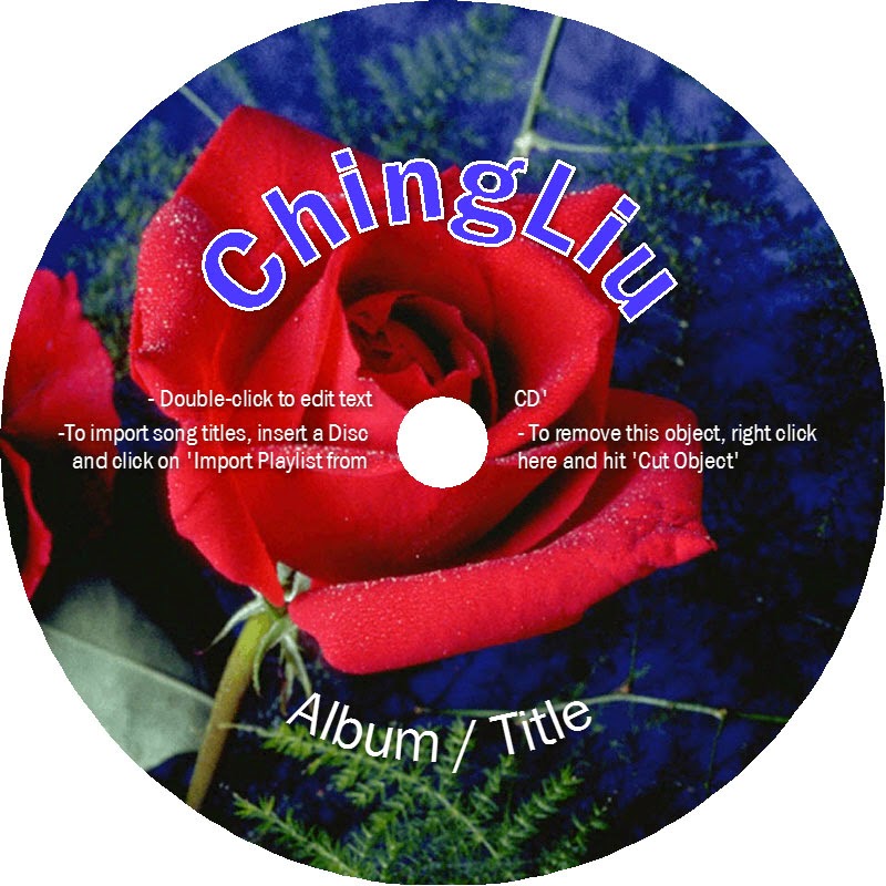 SureThing Disk Labeler Deluxe Gold 7.0.78.0 + crack (FULL)