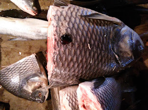 River fish from the Brahmaputra sold in Paltan Bazaar fish market.