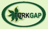 http://www.turkgap.com