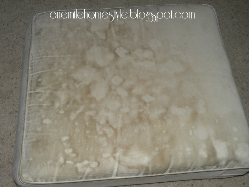 Clean Your Couch Cushions