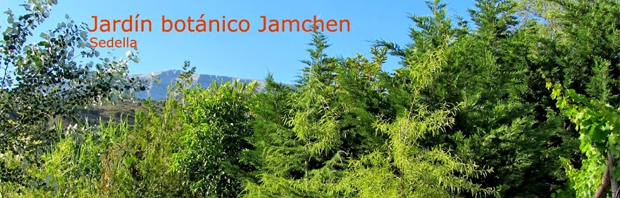           Jardín Jamchen