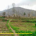 Maira Village (Hari Mera) Mansehra Hazara
