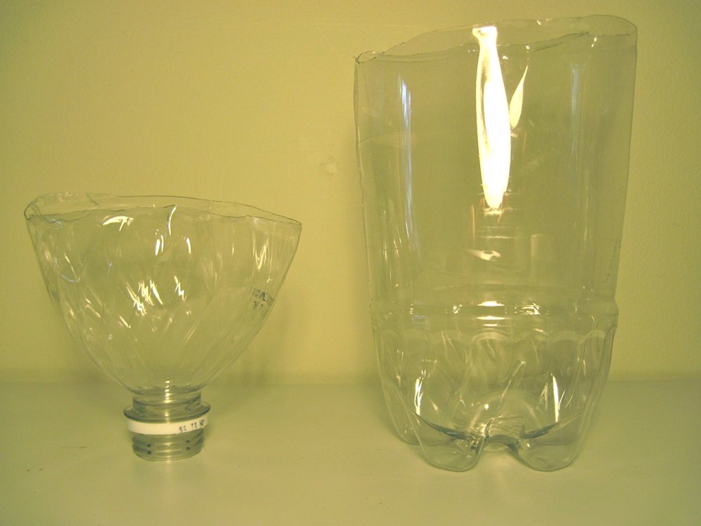 aka Bailey A Homemade Fruit Fly Trap that Actually Works