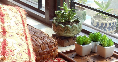 Vignettes Of Beauty In Reshma