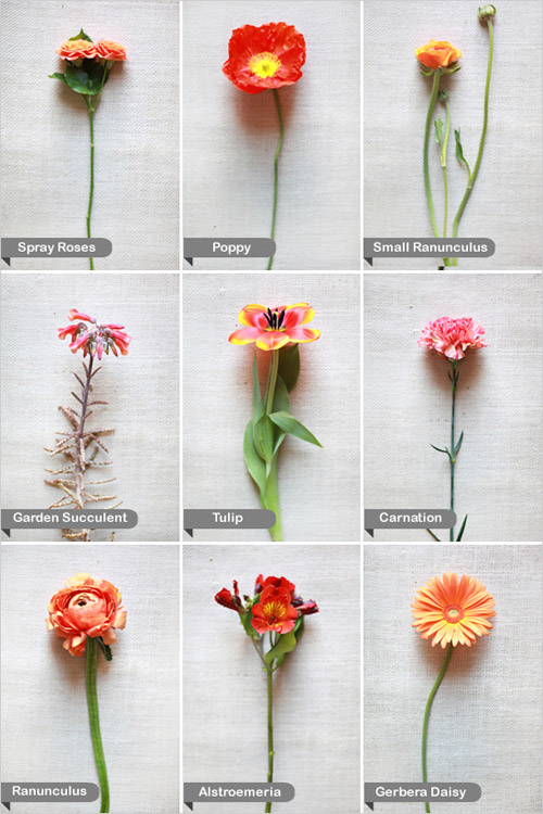 The wedding flower guide